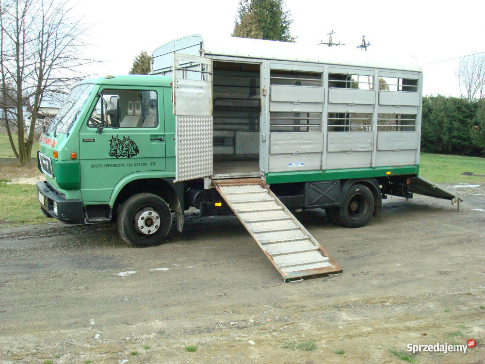 MAN 8100 DO PRZEWOZU ZWIERZĄT VIEHTRANSPORTER podkarpackie Kolbuszowa