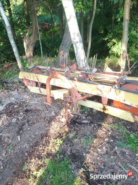 Sprzedam pług dwuskibowy i przewracarkę taśmową świętokrzyskie Nowa Słupia