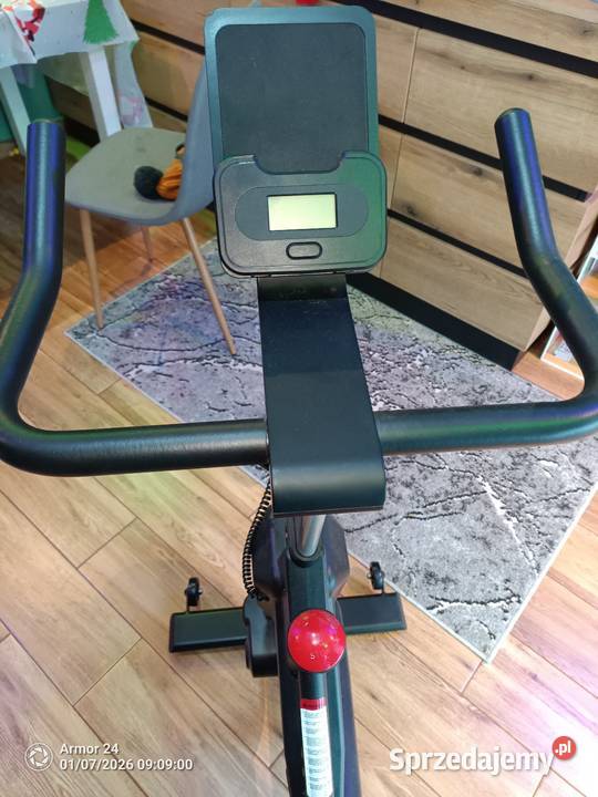 Rower treningowy magnetyczny PASYOU s30 Krze Duże