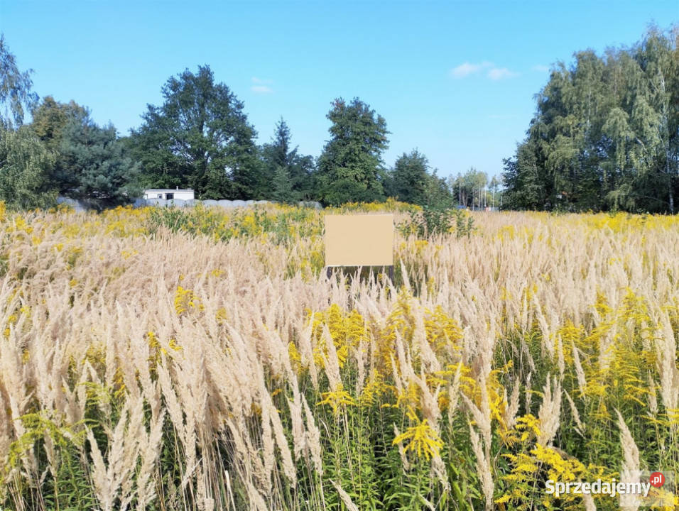 Działka 2366m Kalonka