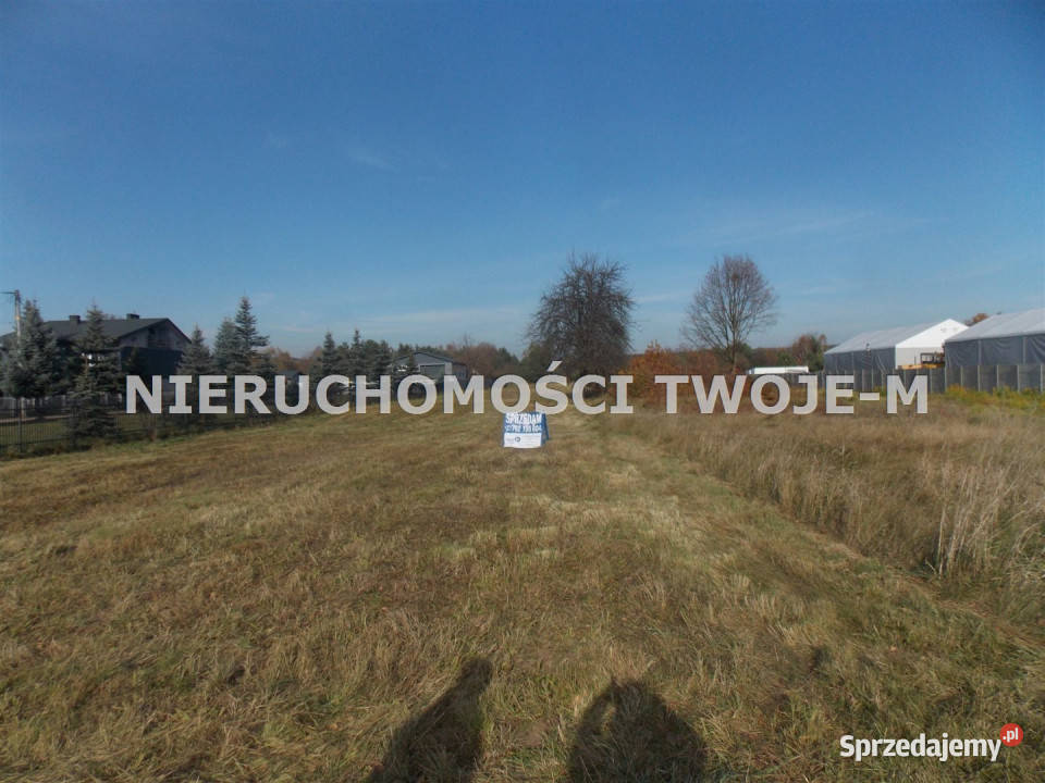 sprzedaży gruntu Kuczów 3300m2 Grunty i działki świętokrzyskie