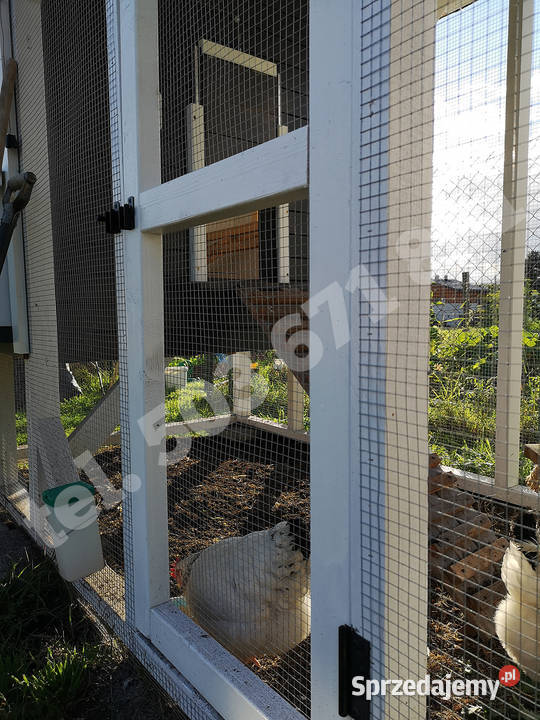 Drewniany kurnik ogrodowy Jodłownik sprzedam