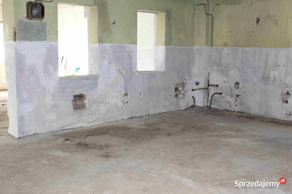 Sprzedam budynek do zaadoptowania na dom Krzanowice