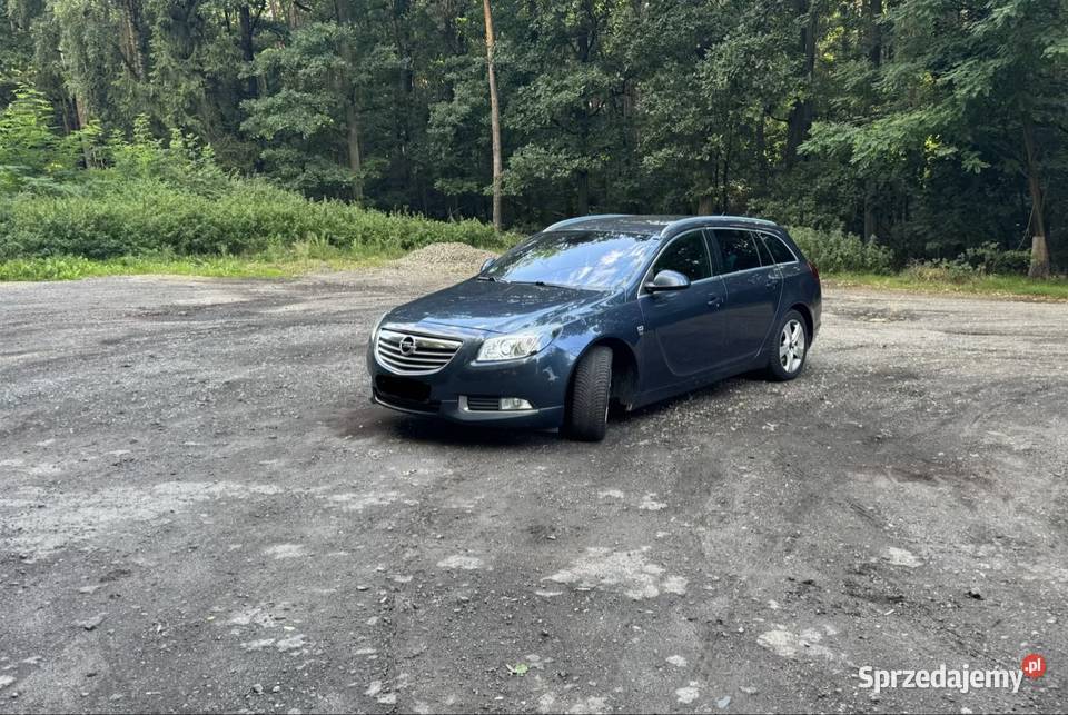 Opel Insignia A opc line 4x4 20cdti Lubin