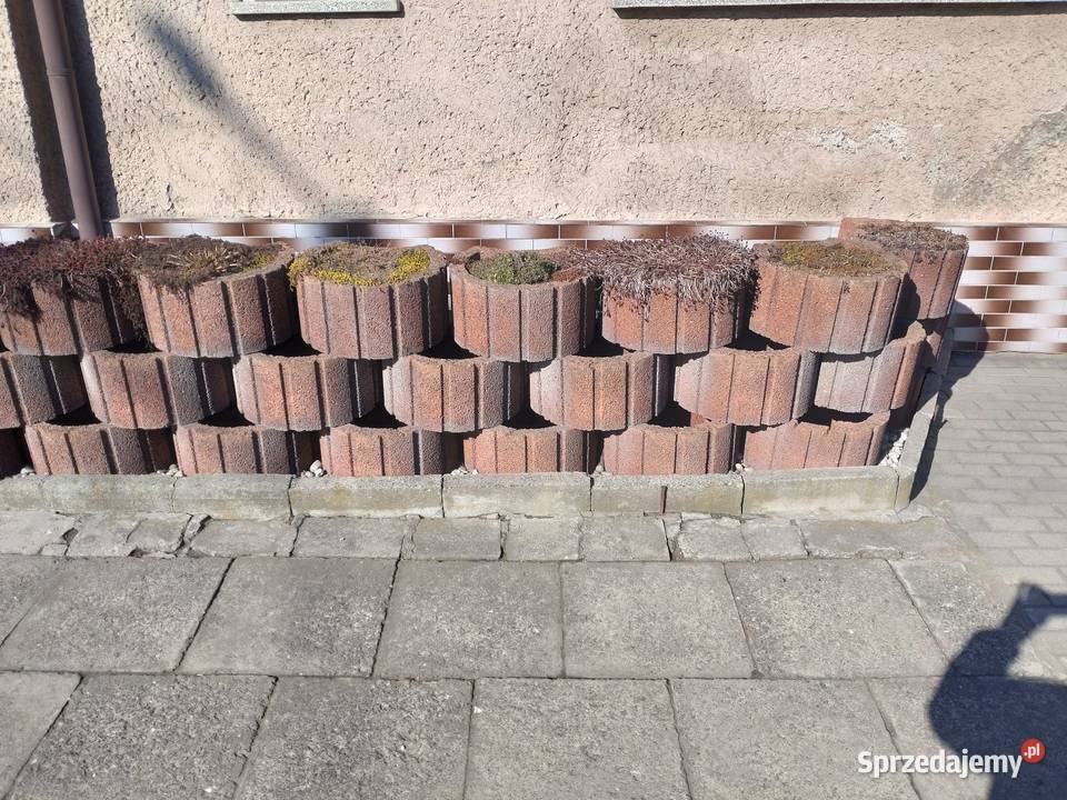 Gazon czerwony opolskie Kędzierzyn-Koźle