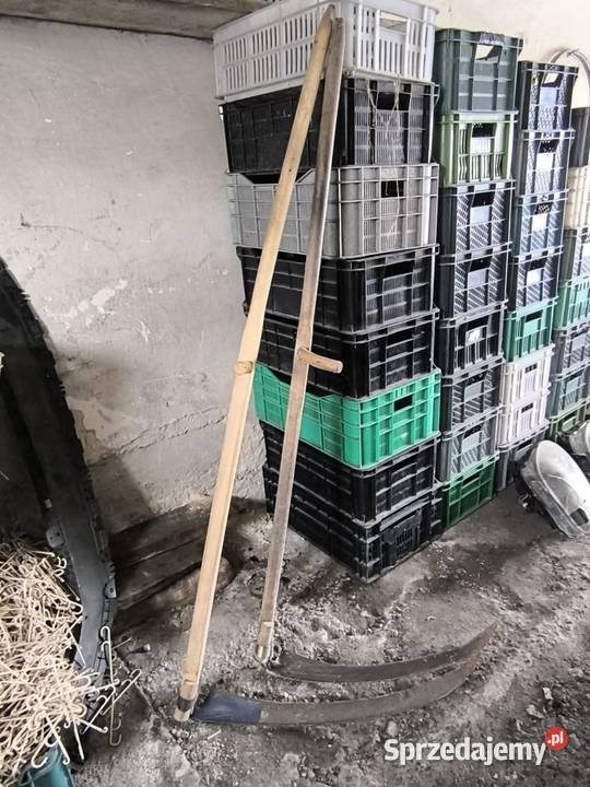 kosy do sieczenia w polu Czechówka