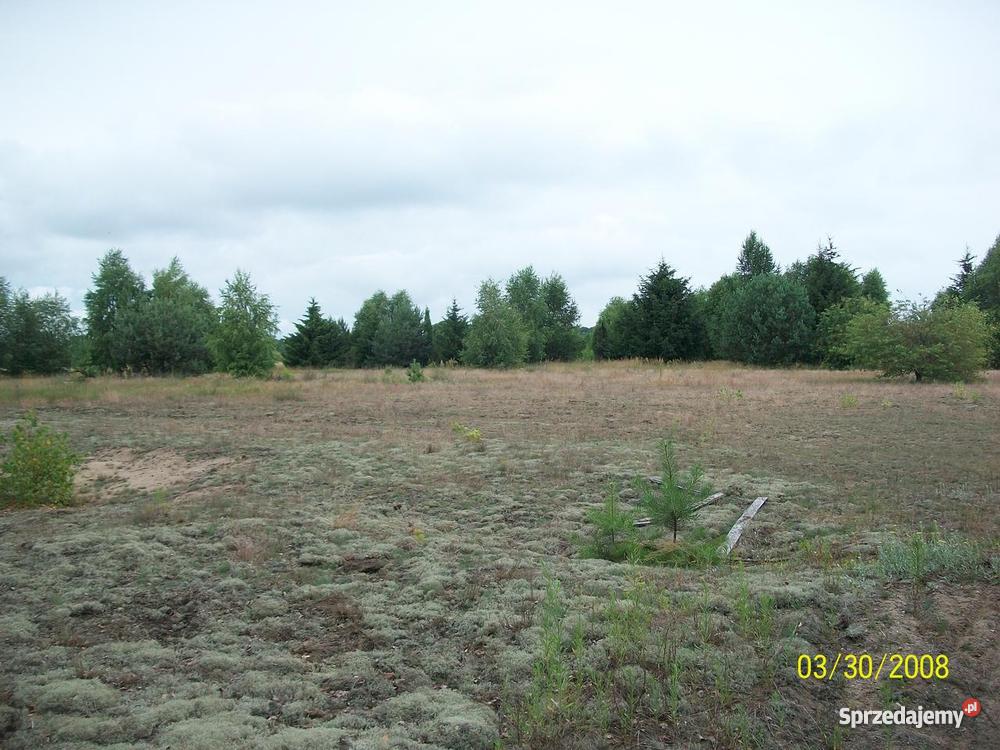 działka rekreacyjna rzeką Wkrą 1800 m2 mazowieckie Prusocin sprzedam