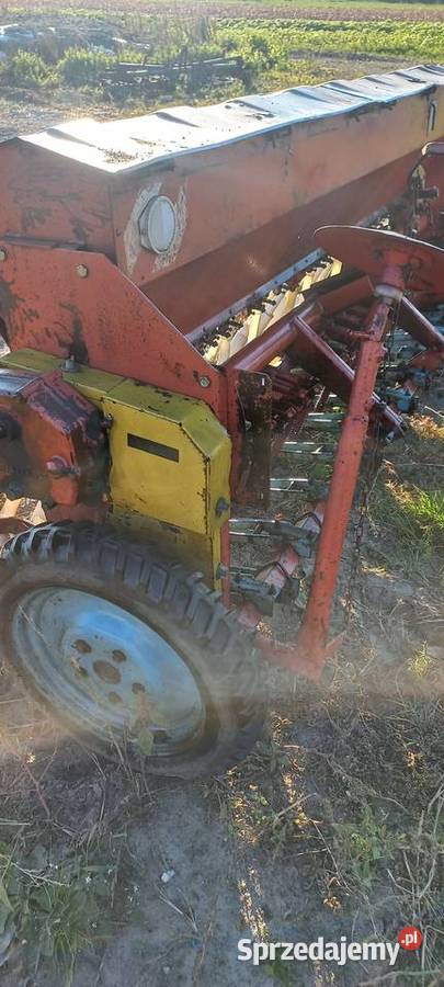 Siewnik poznaniak wielkopolskie Opatówek