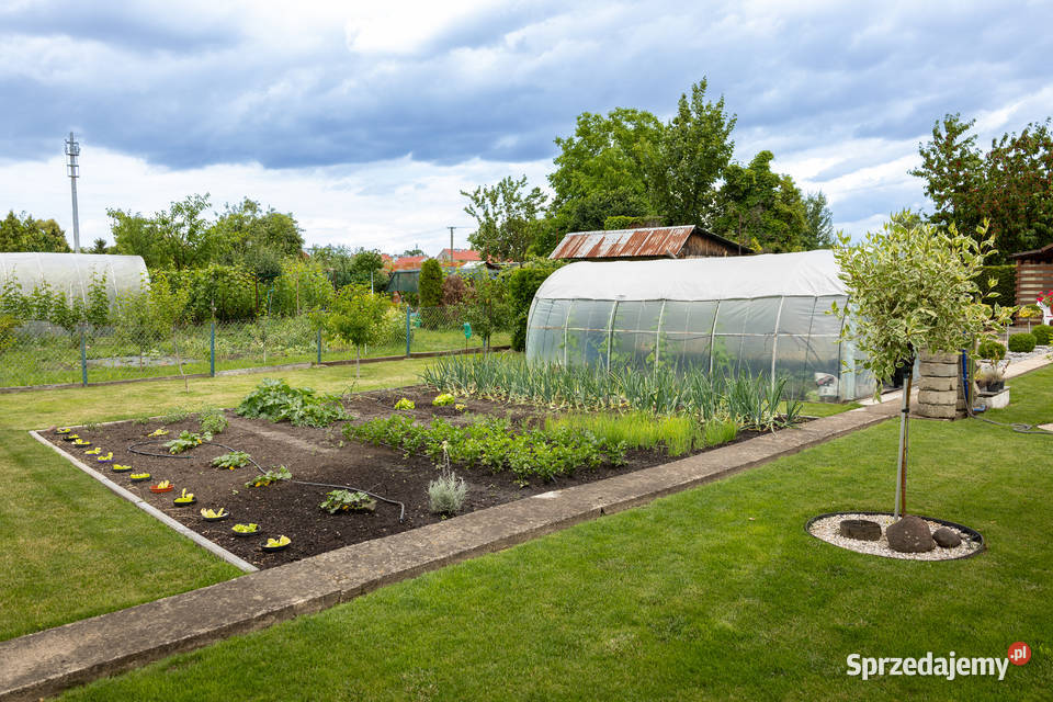 ROD im Tadeusza Kościuszki Dworcowa 1 Kluczbork