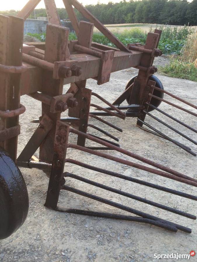 Wyorywacz do warzyw Maszyny rolnicze Ożarów sprzedam