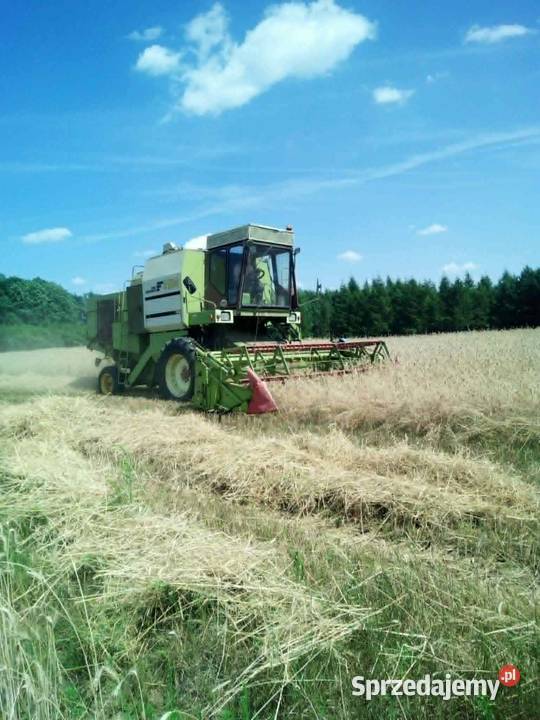 Kombajn Fortschritt E514 nieuszkodzony