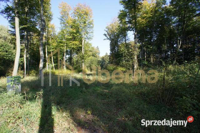 Działki jeziorem do 50 taniej Dobra Now rekreacyjna