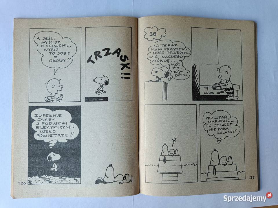 Komiks Fistaszki trzecie spotkanie Ch M Schulz i miękka Komiksy pomorskie Gdynia