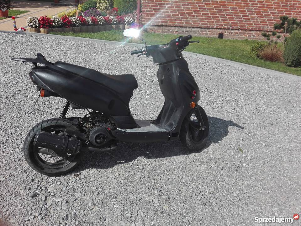 Kingway Koyot Zakrzówek