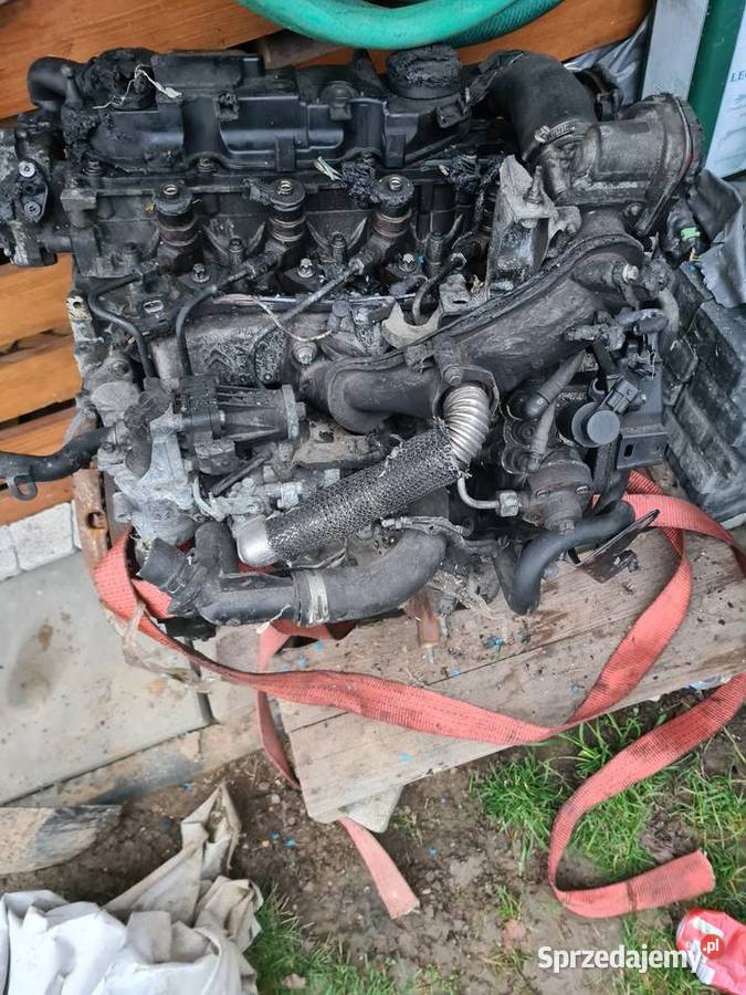 FORD FIESTA MK VII 2008 1 4 TDCI SILNIK podkarpackie Świerzowa Polska