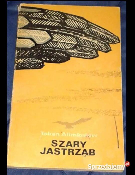Szary jastrząb Alimkułow Taken Chełm