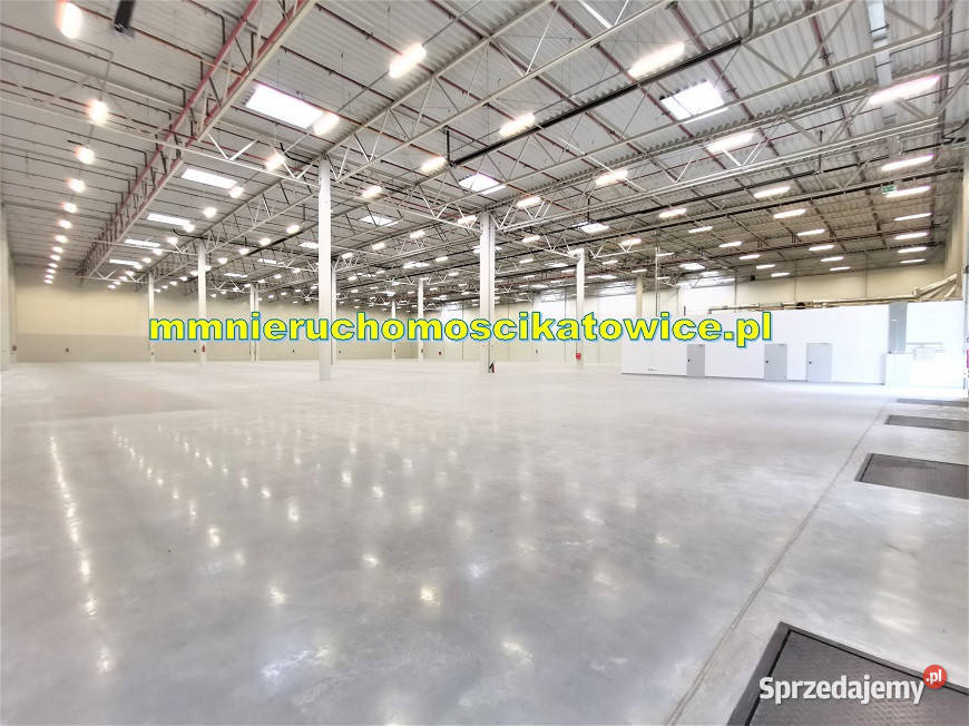 Magazyny do wynajęcia śląskie Katowice A4 0 sprzedam