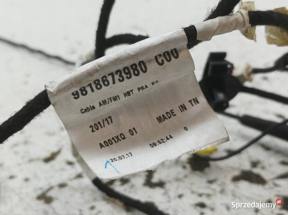 ANTENA KAROSERYJNA 9817551380 Peugeot Expert III osobowe sprzedam