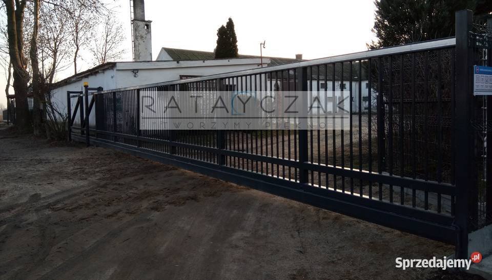 Brama Dwuskrzydłowa 500m Kolor Otwierana