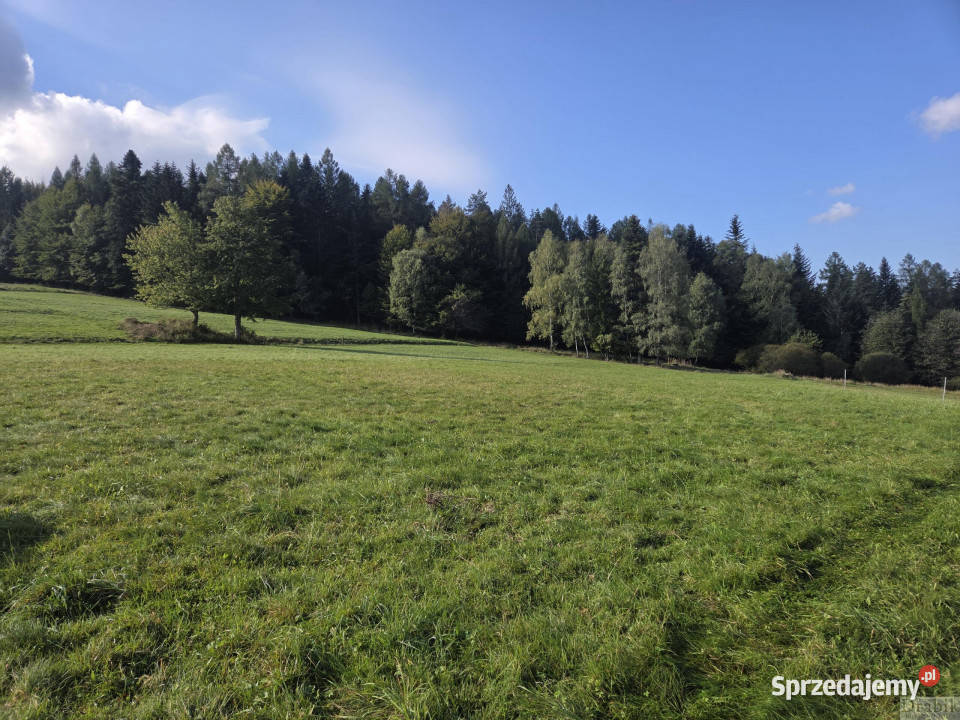 Działka 1550m2 Stryszawa Stryszawa małopolskie sprzedam