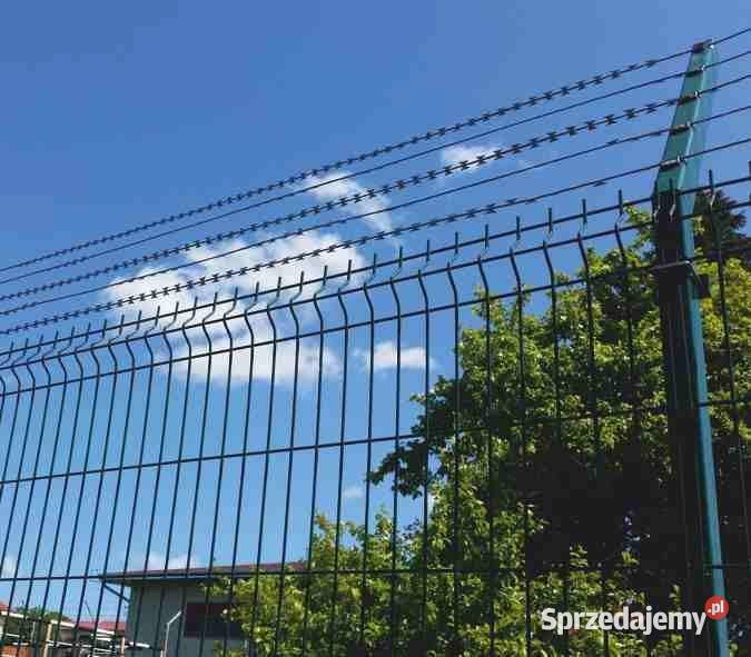 Drut ostrzowy żyletkowy ocynkowany prosty z sprzedam