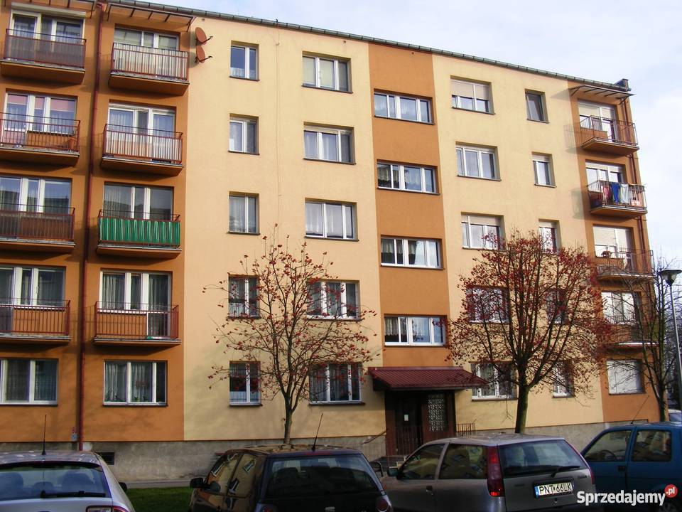 SPRZEDAM MIESZKANIE W ZBĄSZYNIU blok Zbąszyń