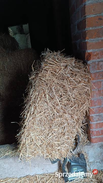 Słoma kostki sprzedam
