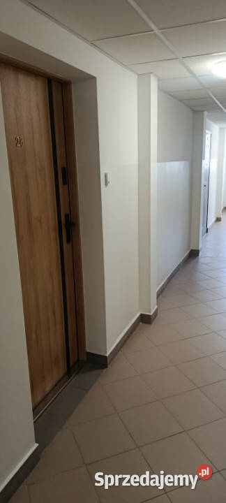 2 pokoje przetargi nieograniczone bezpośrednio Wrocław sprzedam