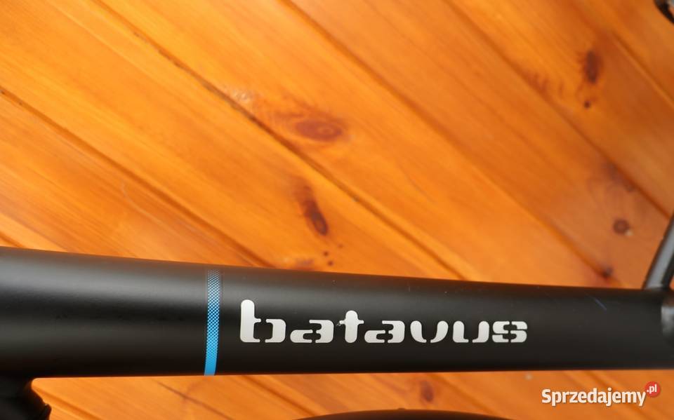 Rower damski Batavus Mambo D 57 I inne rowery Rowery i akcesoria Milanówek