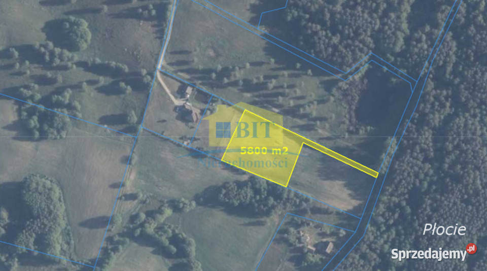 Działka 5800m2 pod lasem wydane warunki zabudowy zachodniopomorskie Płocie