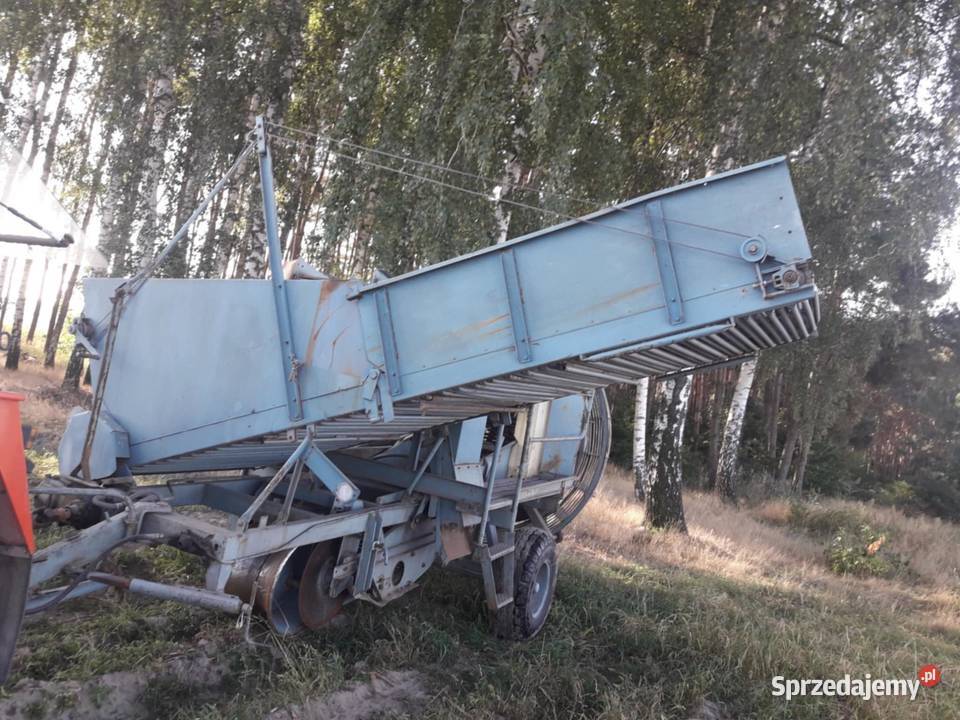 Kombajn Ziemniaczany Anna sadzarka sortownik Bukownica