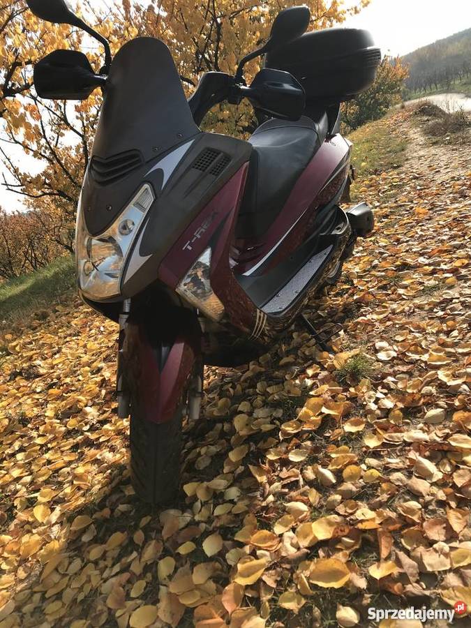 MAGNUS TREX 2T 5070 DOINWESTOWANY Sandomierz