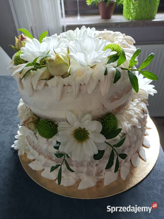 Torty i Ciasta Catering i gastronomia dolnośląskie Wrocław