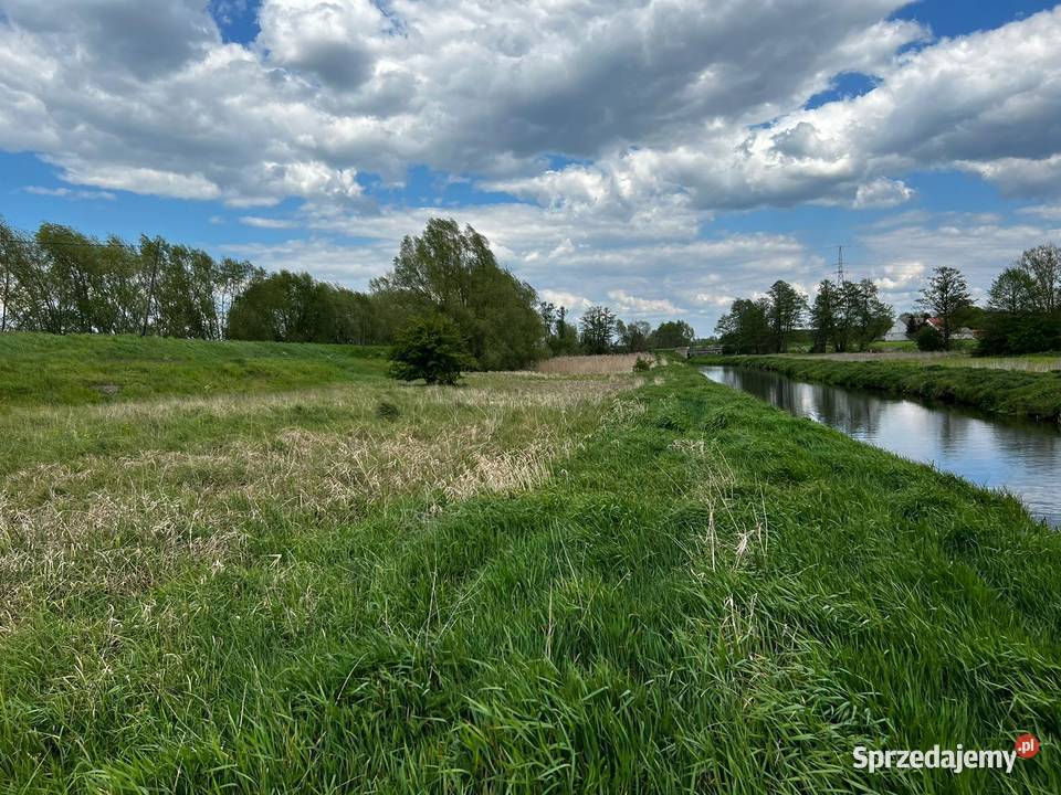 Działka z linią brzegową rzeki Kołczyn