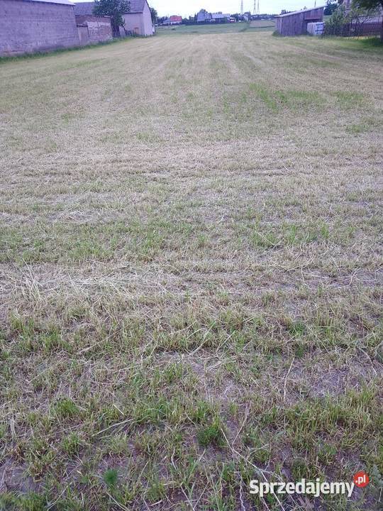 Działka rolno budowlana 3100 m2 Sprzedaż