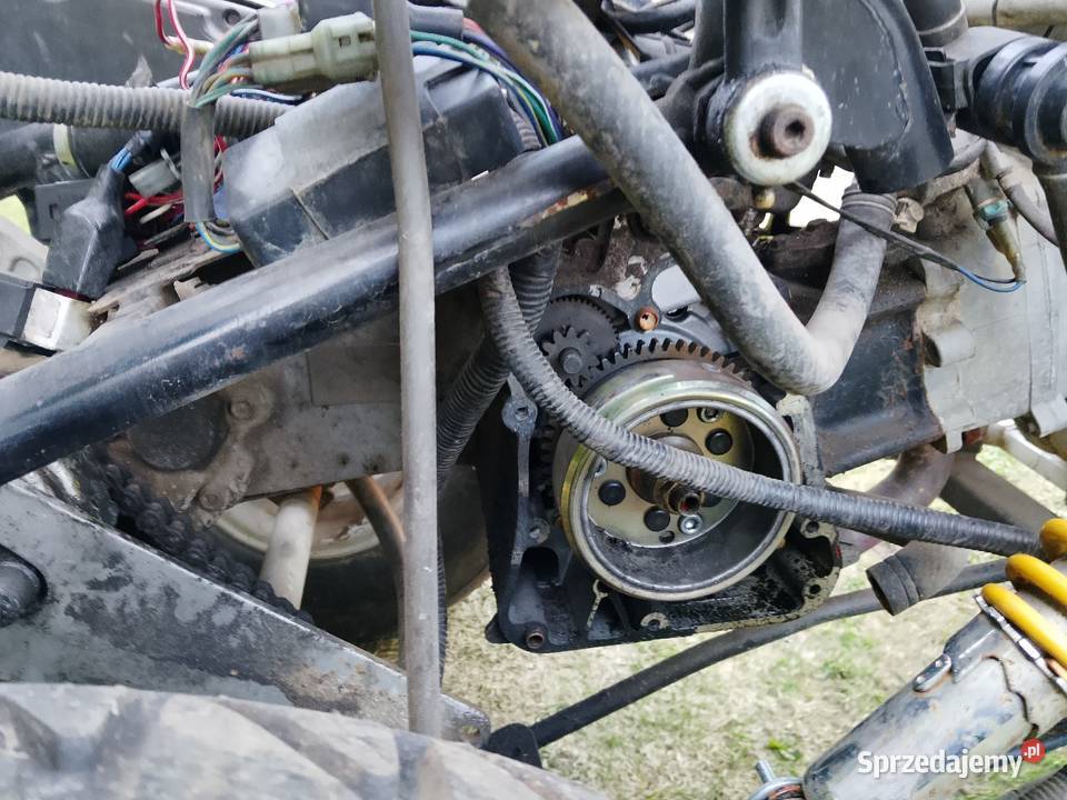 Buggy PGO 250 CCM homologacja L7e 2006r 123km Ostrów Wielkopolski