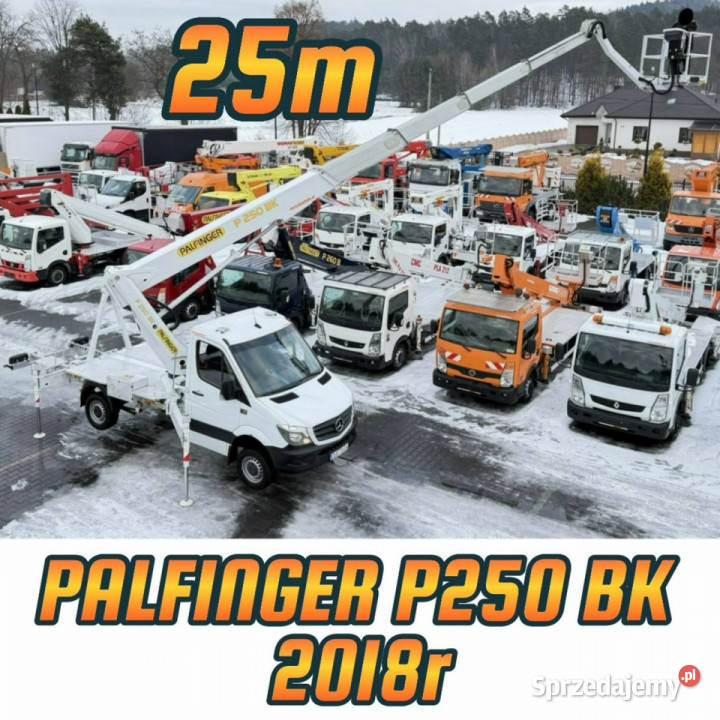 Nissan Cabstar Koszowy Maxity Iveco Sprinter komputer pokładowy Widełki sprzedam