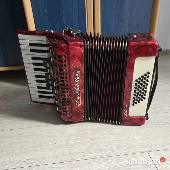 Ronaliana Meteor Mszana Dolna