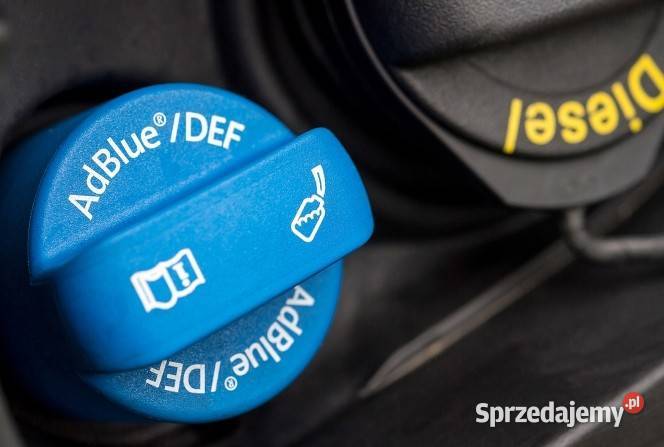 AdBlue SCR usunięcie naprawa Wieluń