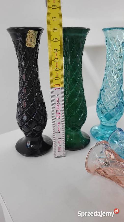 Wazoniki Ciechanowiec