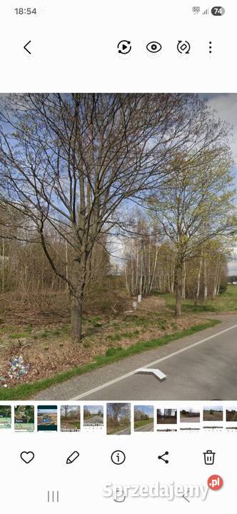 Działka pod zabudowę Sprzedaż Przytyki