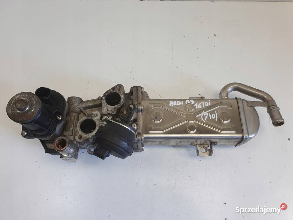 Audi A3 II 8P 16 TDI CHŁODNICA SPALIN egr