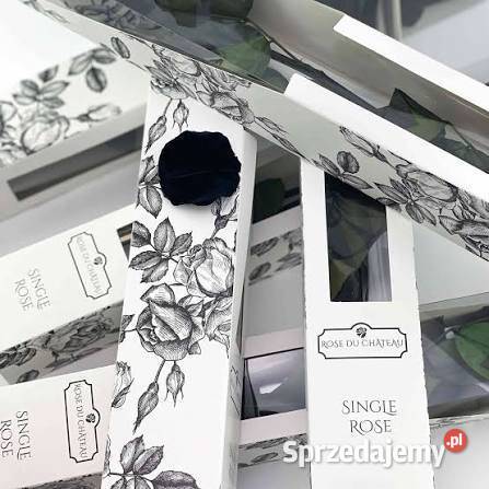 Czarna wieczna róża na łodydze 50 Grudziądz