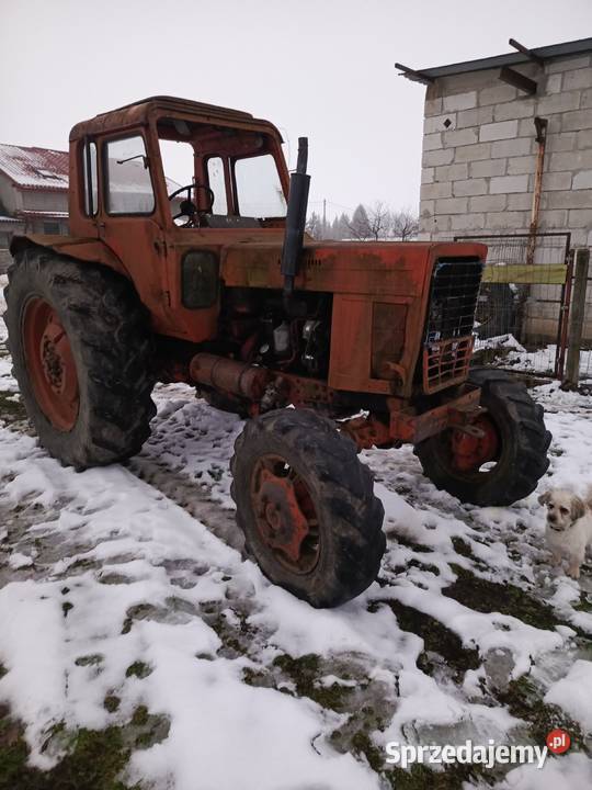 Mtz 82 czesci Koziary