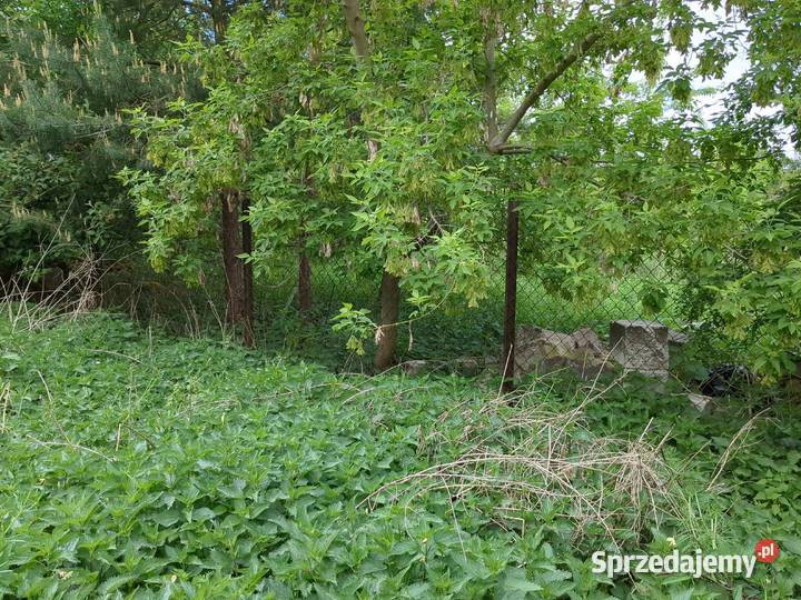 Nieruchomość gruntowa syndyka Nowy Modlin 894 mazowieckie