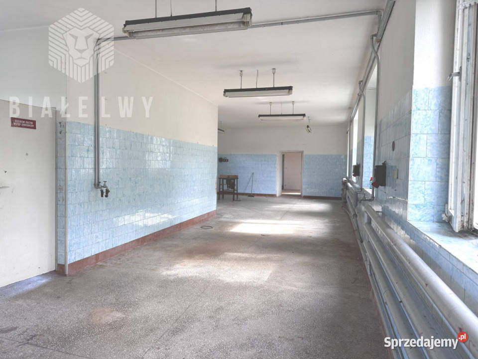 Lokal 800m2 Mrozy mazowieckie
