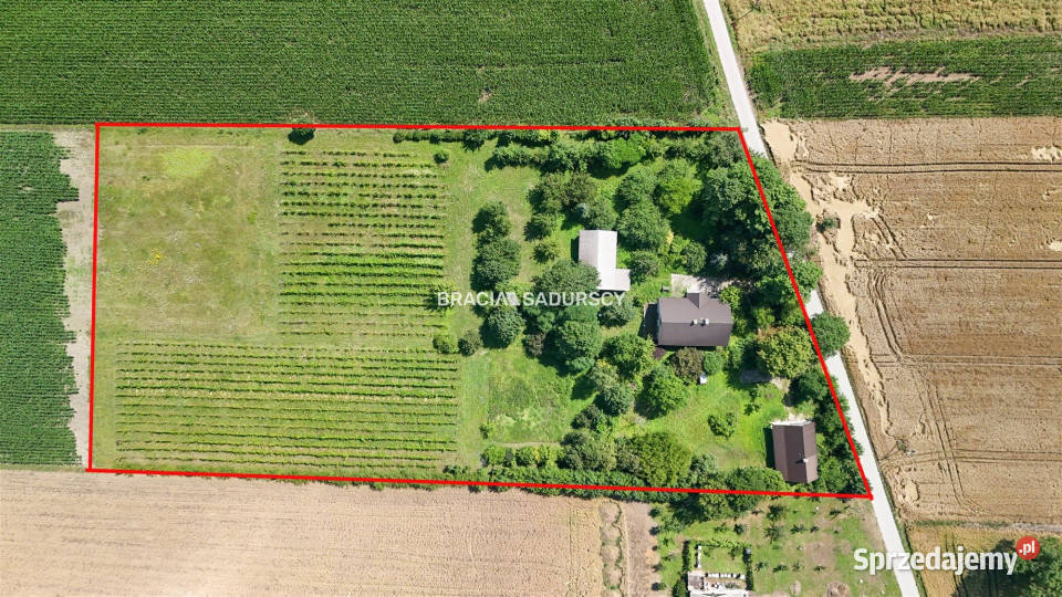 Sprzedaż domu wolnostojącego 170m2 Bukowska Wola