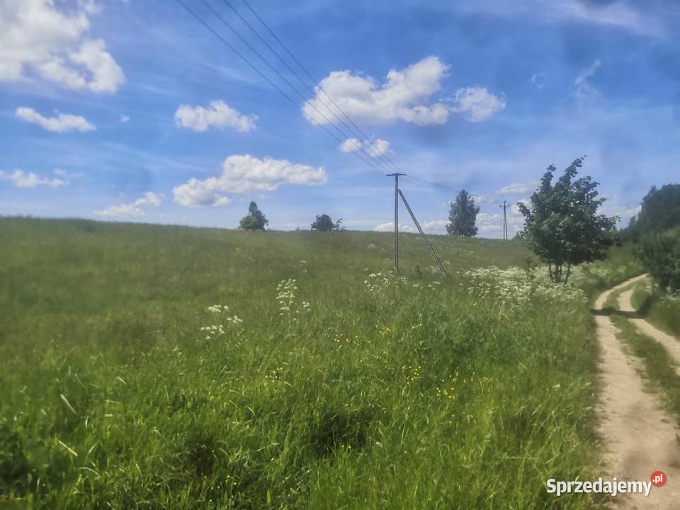 Sprzedam działkę rolną o pow 428ha Piłaki Wielkie
