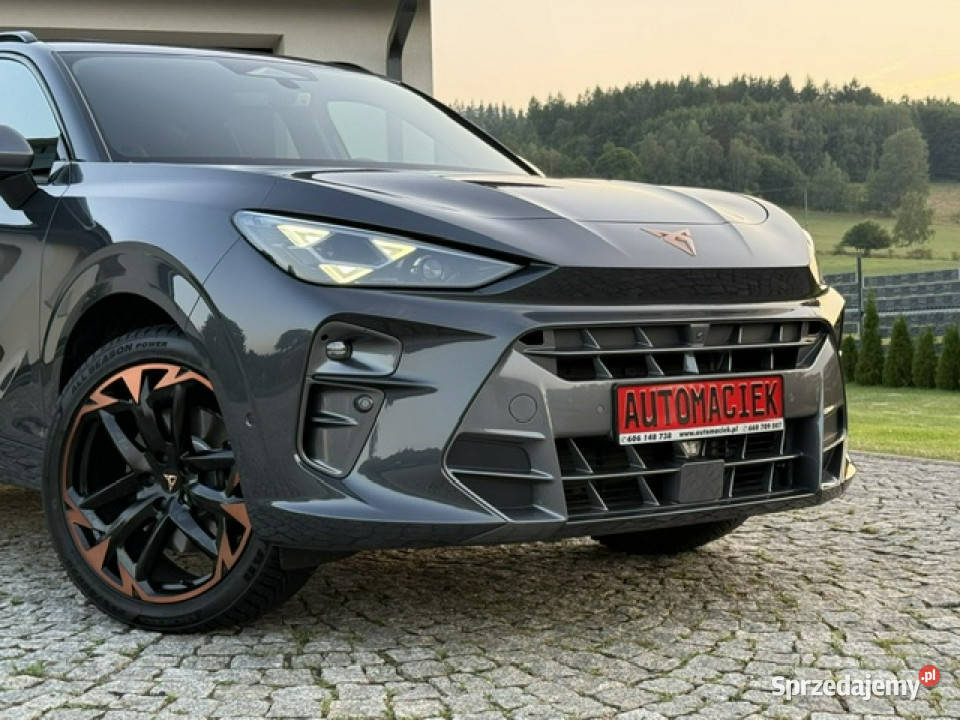 Cupra Terramar Kamienna Góra