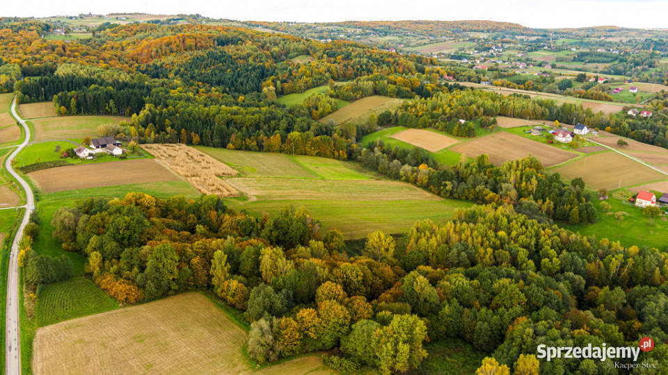 Działka Lichwinie Rolnoleśna OKAZJA małopolskie Lichwin sprzedam